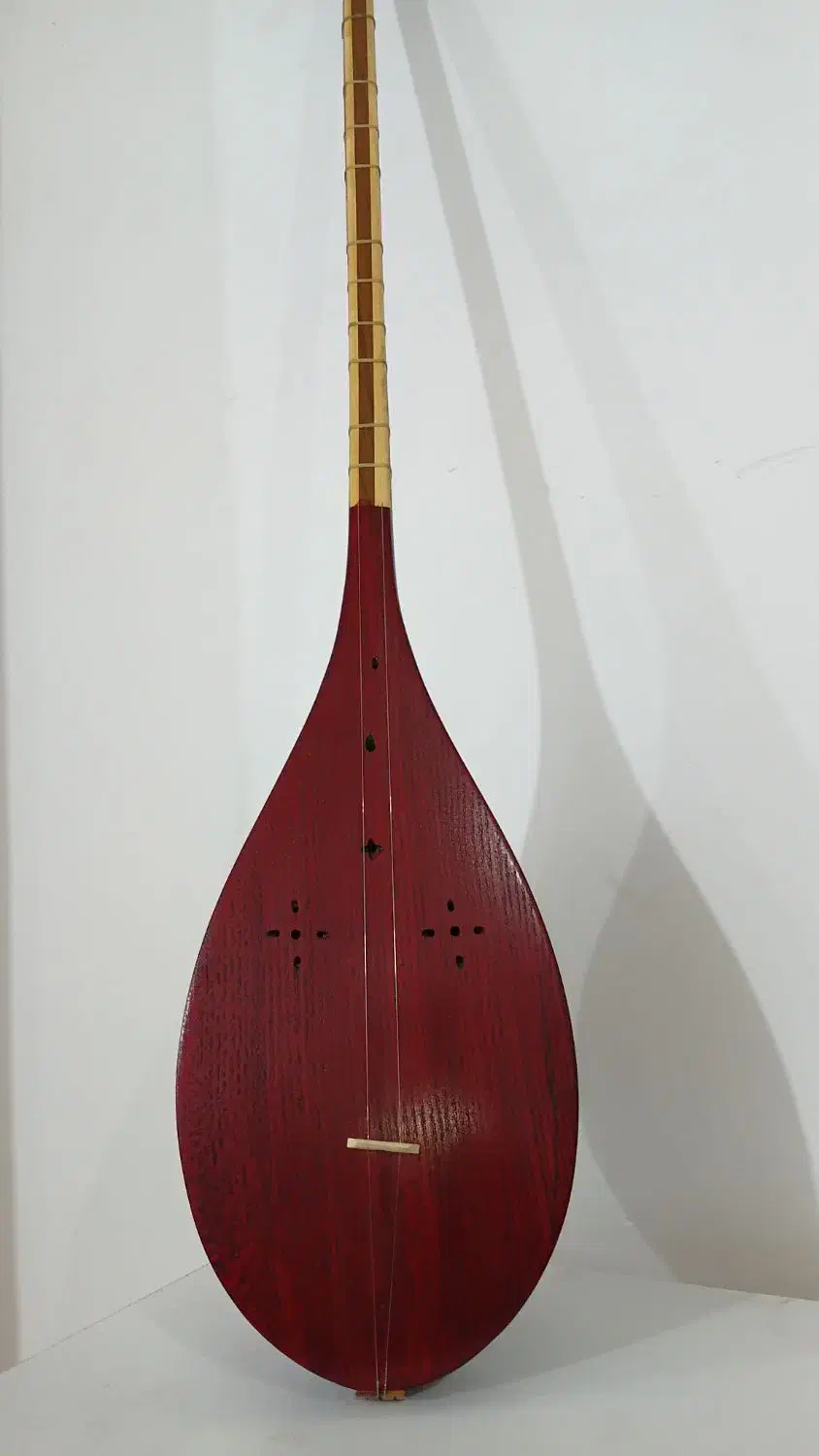 دوتار نو تازه ساخت|سازهای سنتی|علی‌آباد کتول, |دیوار