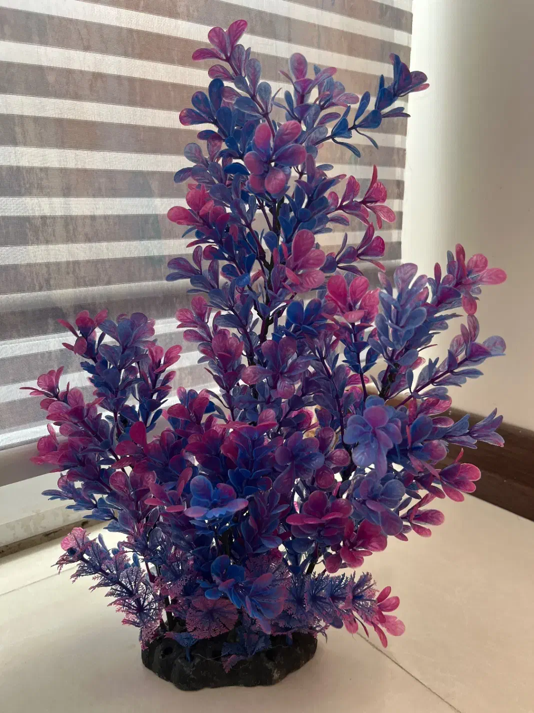 فروش اکسسوری های داخل آکواریوم|ماهی|تهران, افسریه شمالی|دیوار