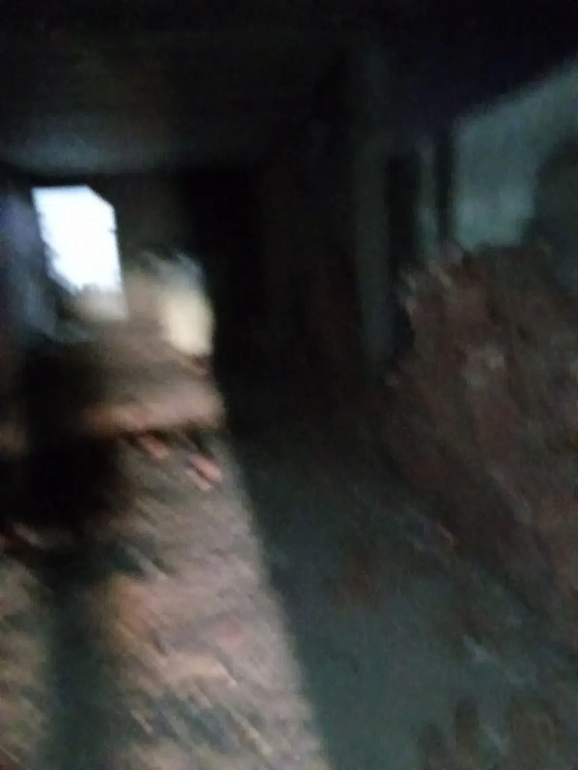 خانه نو ساز|پیش‌فروش املاک|کرمان, |دیوار