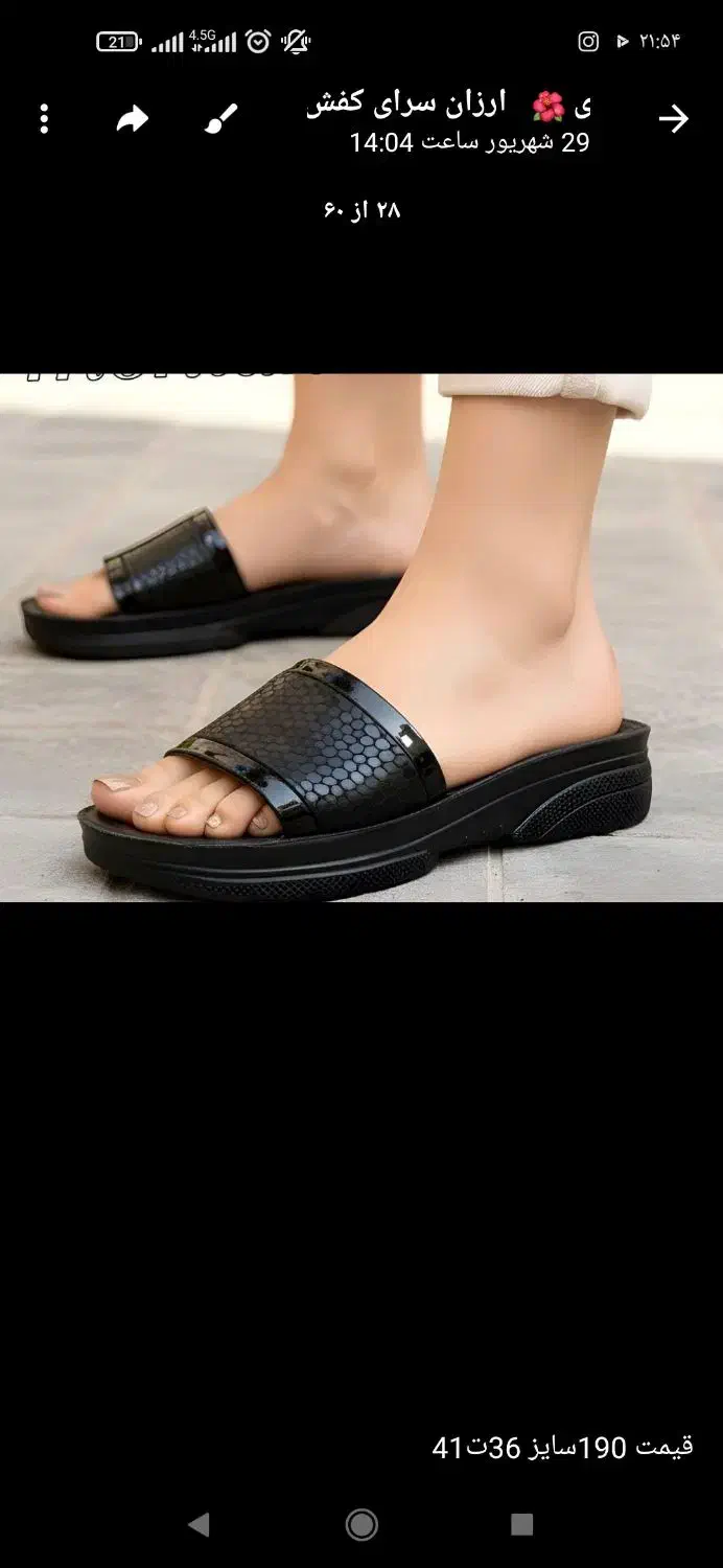 کفش دمپای|کیف، کفش، کمربند|لردگان, |دیوار