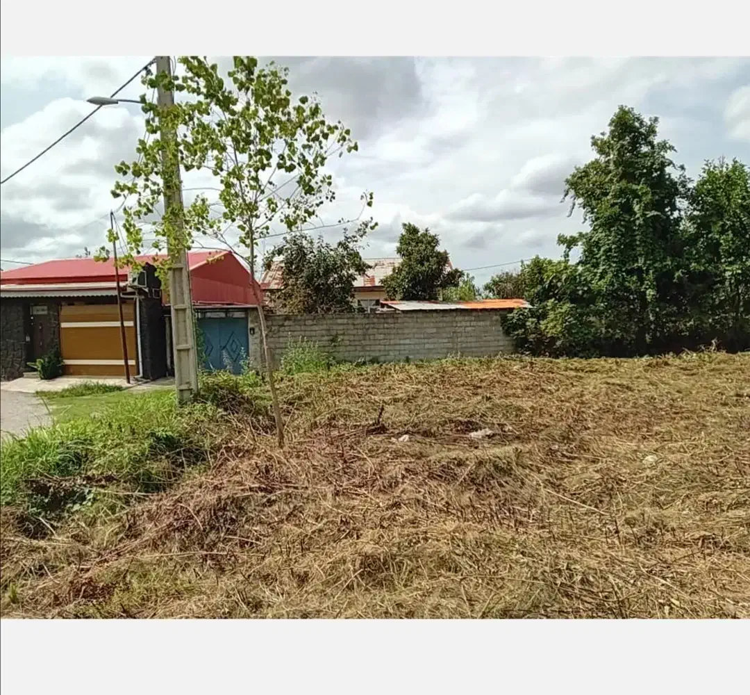 فروش زمین ۲۳۳ متری رشت روستای بیجاربنه|فروش زمین و ملک کلنگی|رشت, جانبازان|دیوار