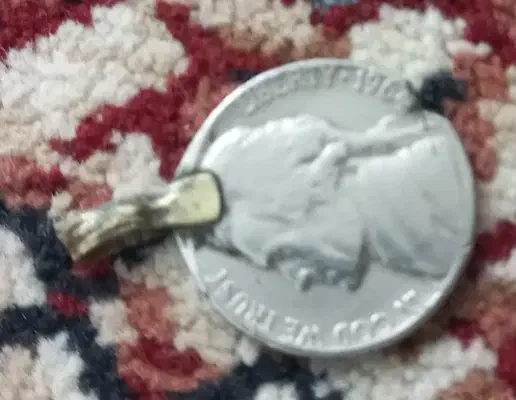 سکه قدیمی|کلکسیون سکه، تمبر، اسکناس|مشهد, پورسینا|دیوار