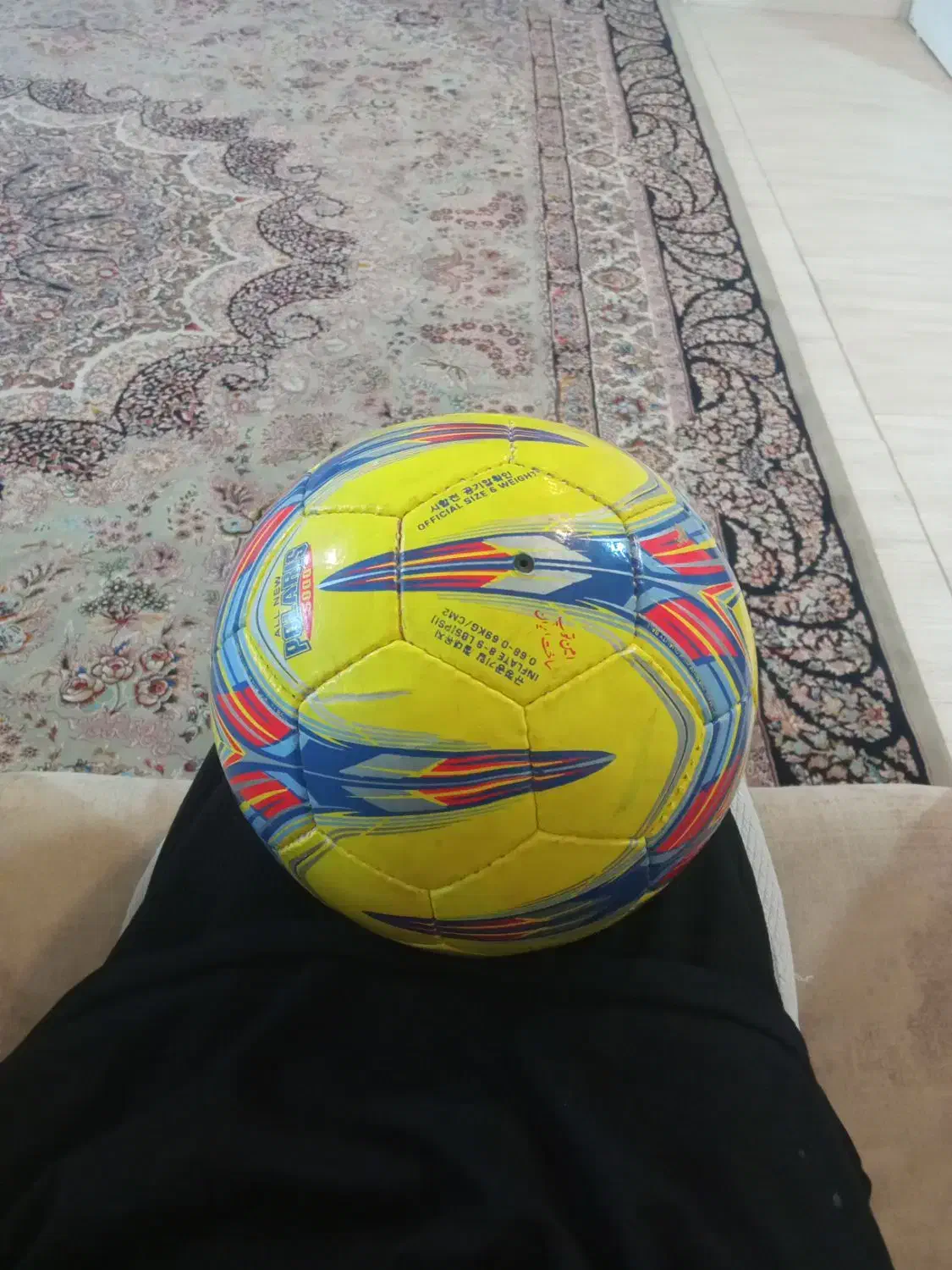 توپ سالنی|ورزشهای توپی|کرمان, |دیوار