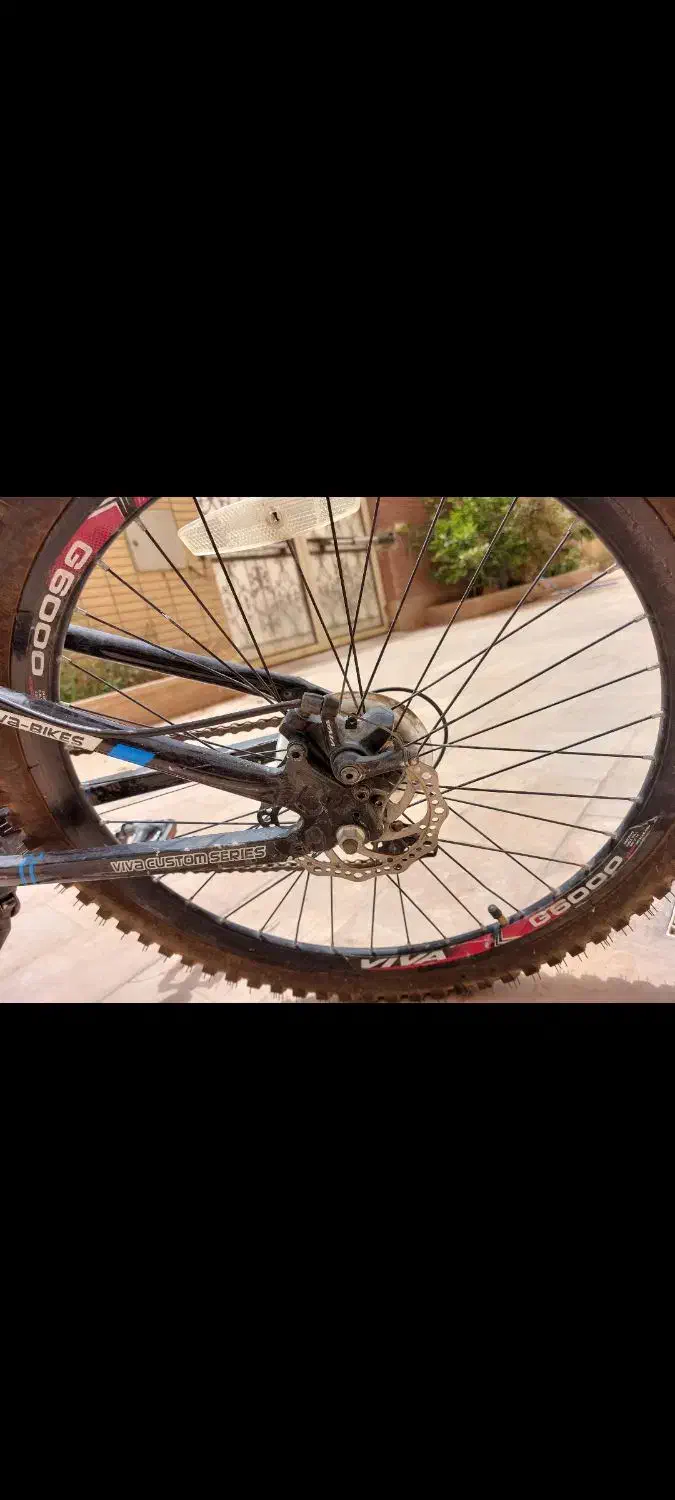 دوچرخه ویوا ۲۴ دیسکی کم کار|دوچرخه، اسکیت، اسکوتر|کاشان, صنعت|دیوار