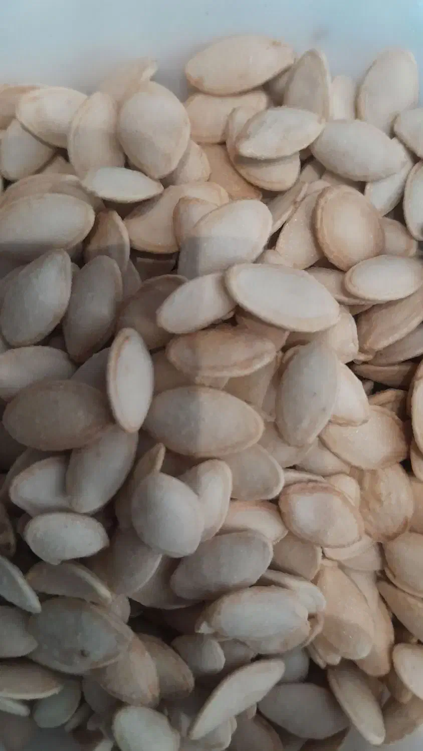 تخمه‌کدو‌تازه‌وپر‌خوشمزه|خوردنی و آشامیدنی|بروجرد, |دیوار