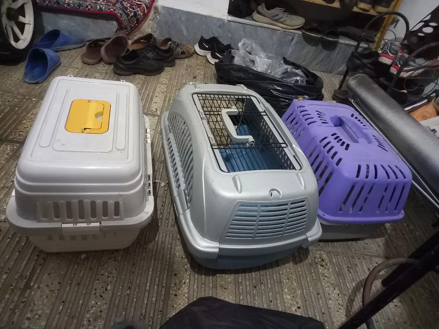 باگس ...قفس سگ|لوازم جانبی حیوانات|ساری, |دیوار