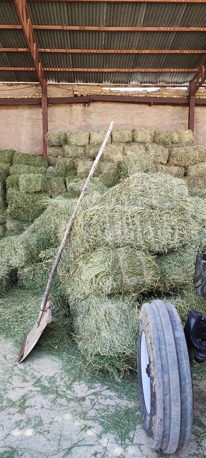 پرس یونجه|خدمات باغبانی و درختکاری|لردگان, |دیوار