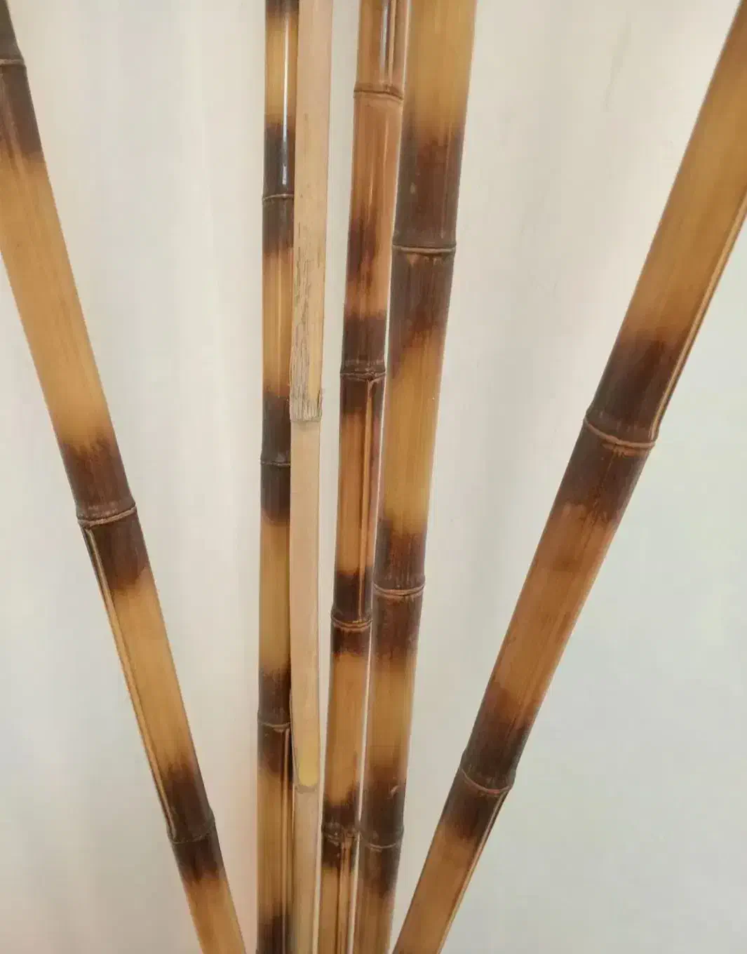 نی بامبو|گل مصنوعی|تهران, آهنگران (سراسیاب دولاب)|دیوار