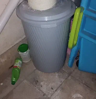 سطل برنج|ظروف نگهدارنده، پلاستیکی، یک‌بارمصرف|لنگرود, |دیوار