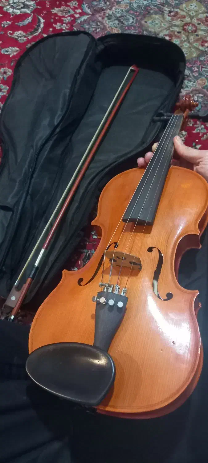 ویالون۴.۴|ویولن|هشتگرد, شهرک ولیعصر (مصلی)|دیوار