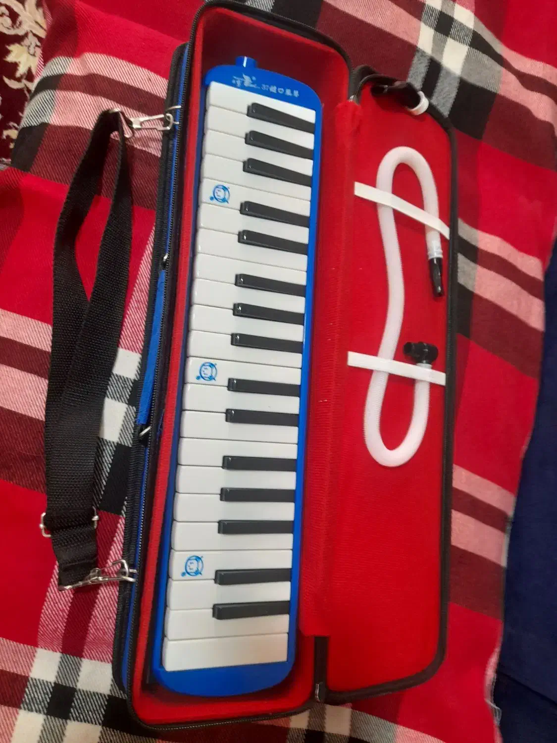 ملودیکا ۳۷کلید|پیانو، کیبورد، آکاردئون|بومهن, |دیوار