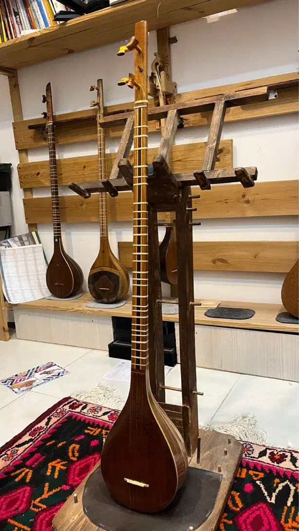 سه تار حرفه ای با مهر پالیزدار|سازهای سنتی|کرمان, |دیوار