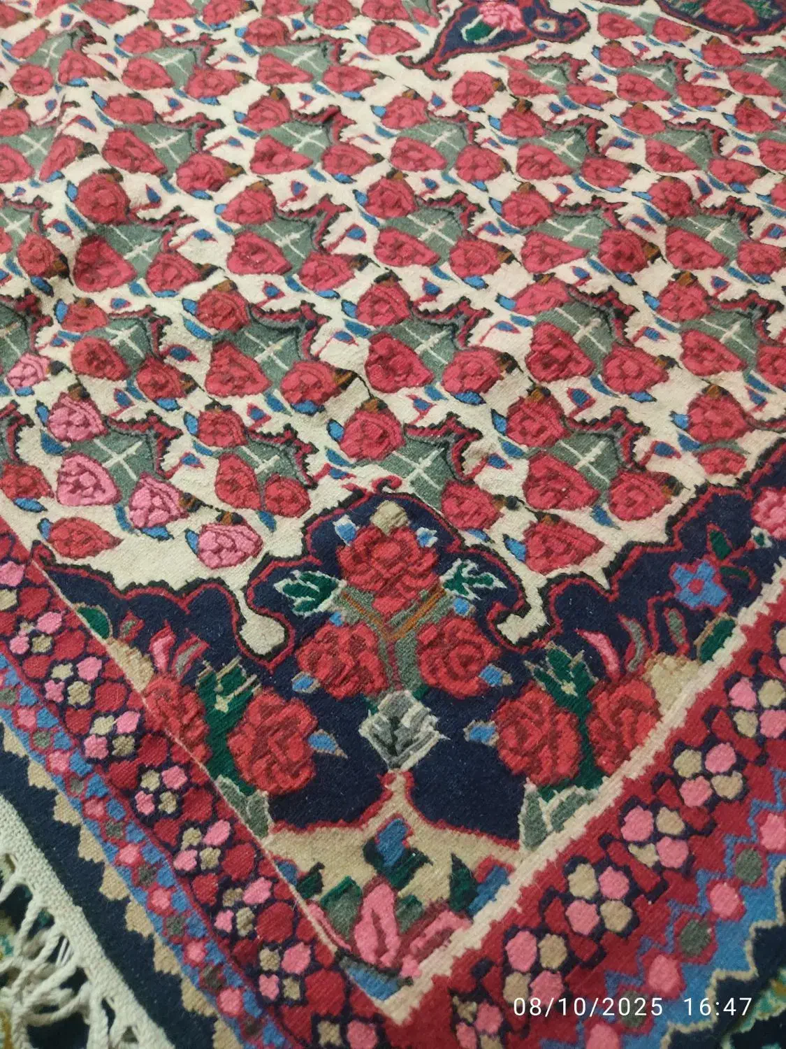 گلیم|گلیم، جاجیم، گبه|تهران, سلیمانی|دیوار