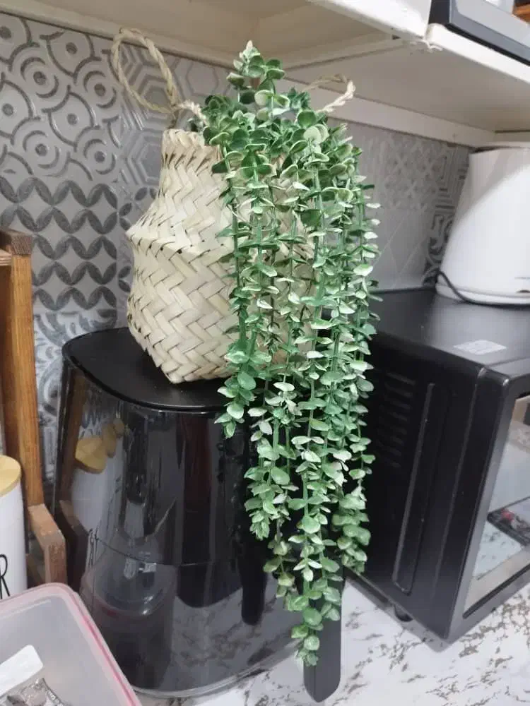سبدحصیری|گل مصنوعی|اهواز, حصیرآباد|دیوار