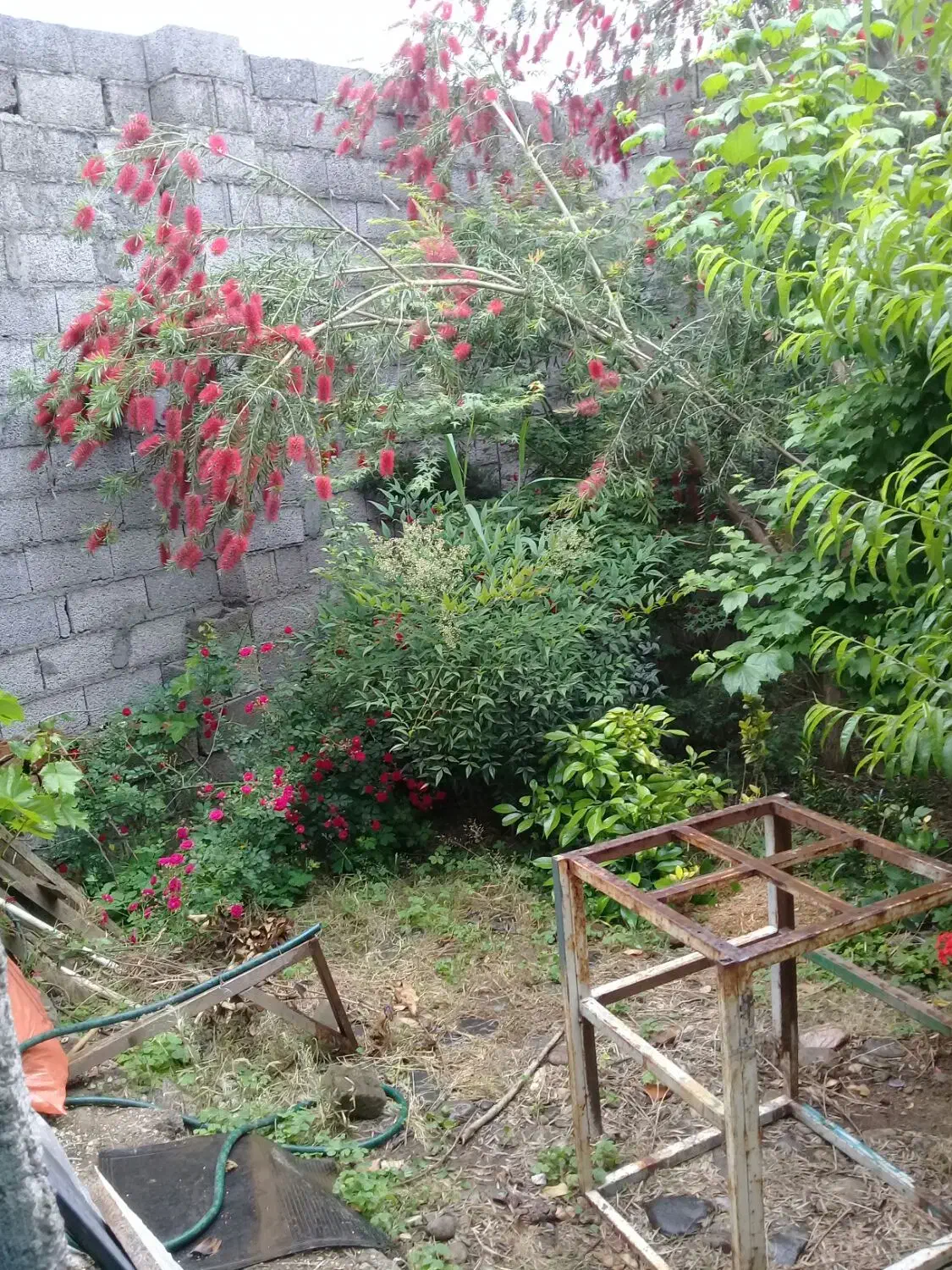 فروش مغازه گارگاه 100 متری در آتشگاه رشت|فروش دفتر صنعتی، کشاورزی، تجاری|رشت, آتشگاه|دیوار