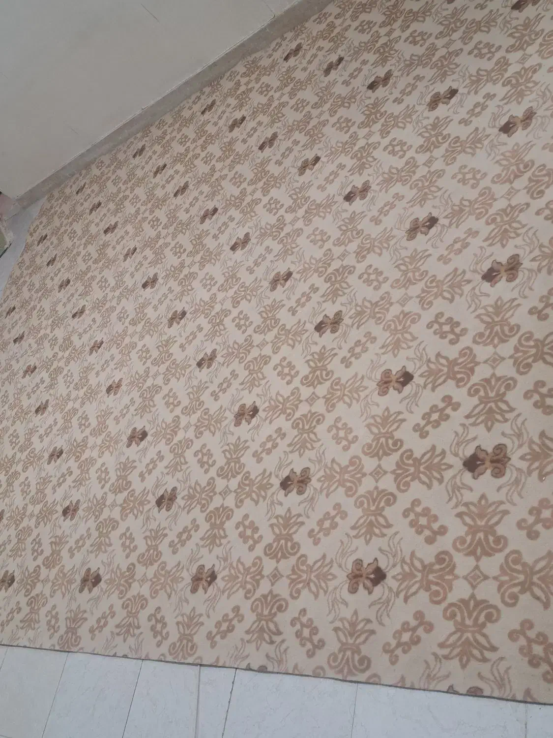 موکت ۱۲متری سالم و نو|موکت|تهران, حر|دیوار