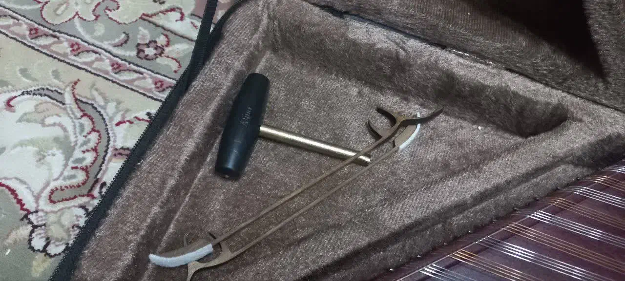 سنتور نو|سازهای سنتی|شیراز, فرهنگ شهر|دیوار