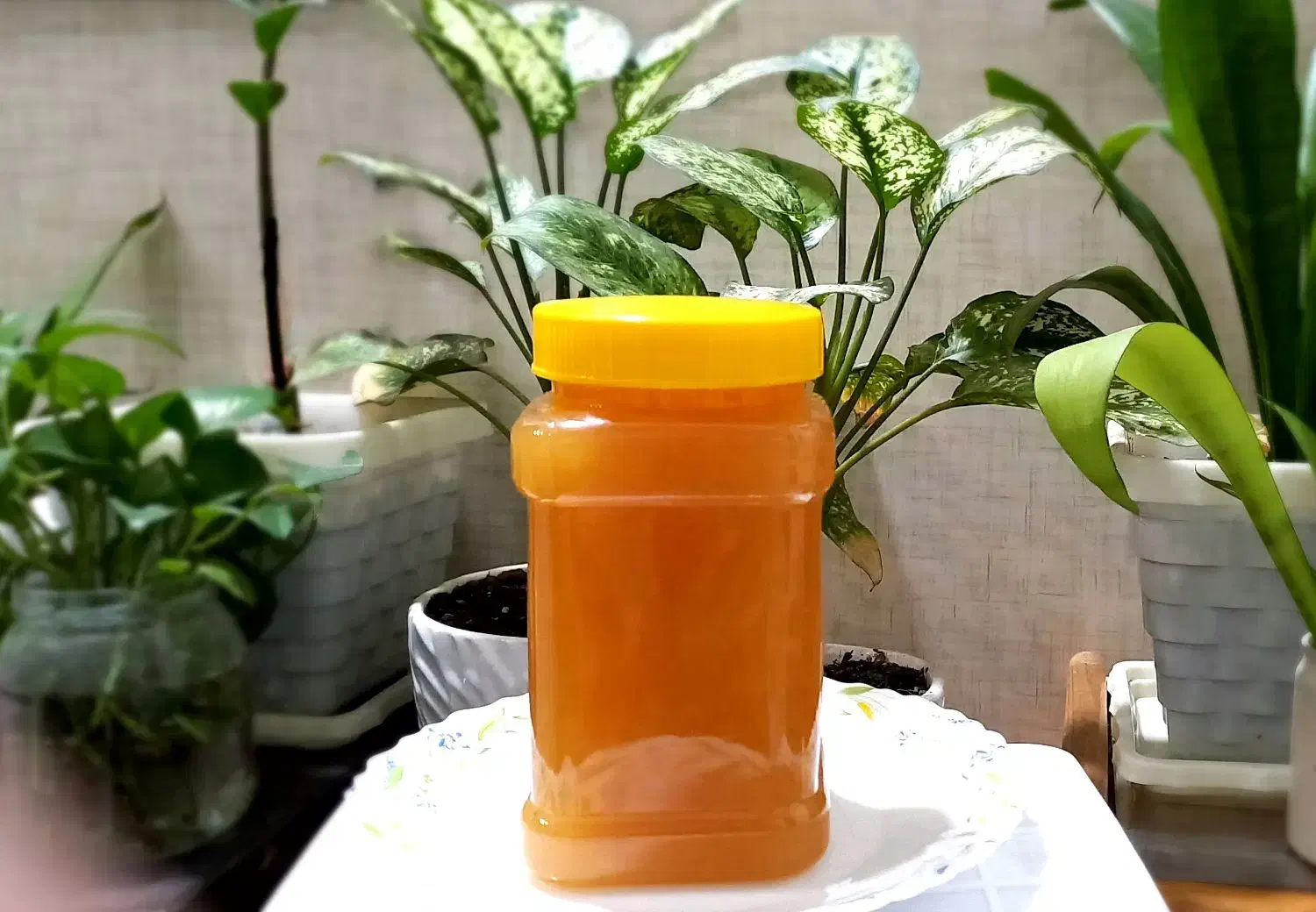 عسلِ کُنار اصل|خوردنی و آشامیدنی|رشت, کوی مهر|دیوار