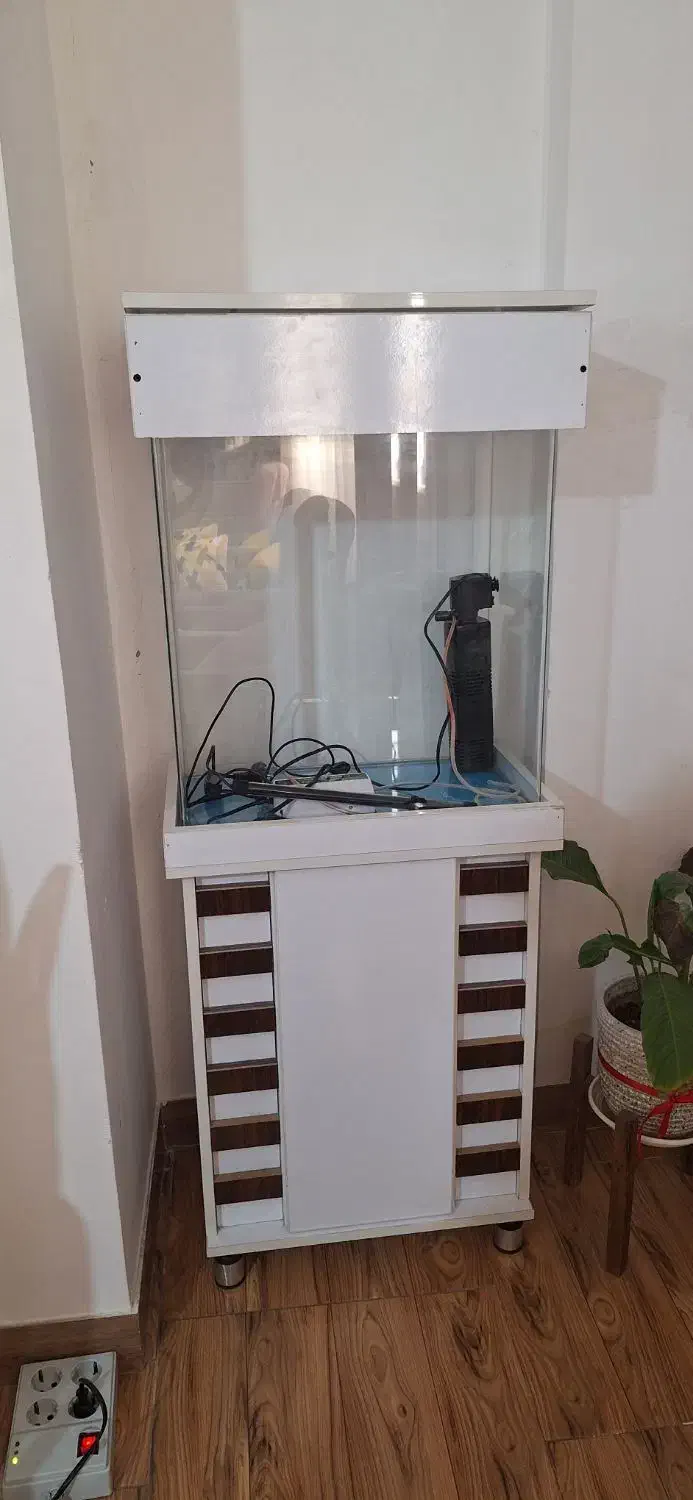 آکواریوم شرکتی شیشه خم|ماهی|ماهدشت, |دیوار