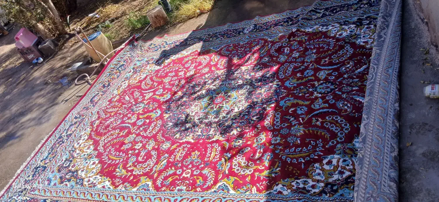 معاوضه با کفتر|پرنده|فردوس (خراسان), |دیوار