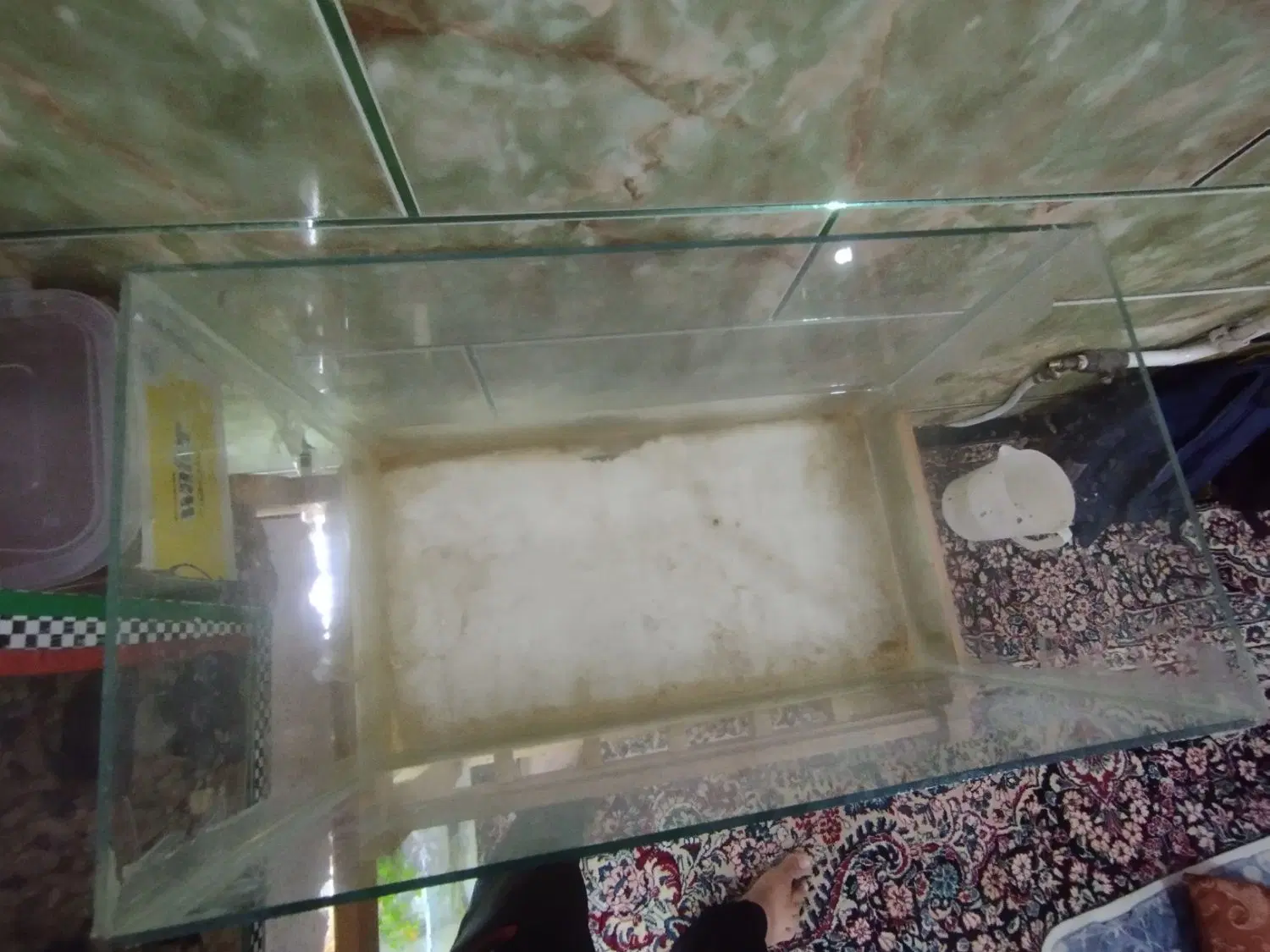 قیمت 800|ماهی|زرند, |دیوار