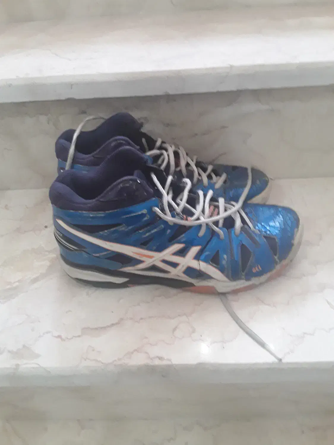 کفش والیبال|کیف، کفش، کمربند|صدرا-فارس, فاز ۱|دیوار