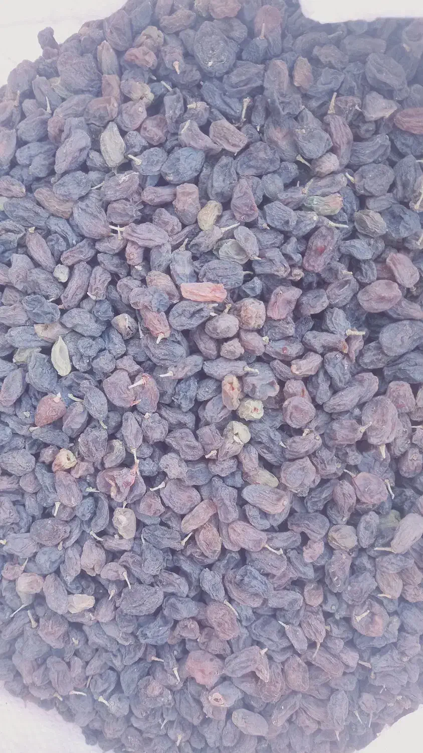 کشمش و لوبیا چیتی|خوردنی و آشامیدنی|پاسارگاد, |دیوار