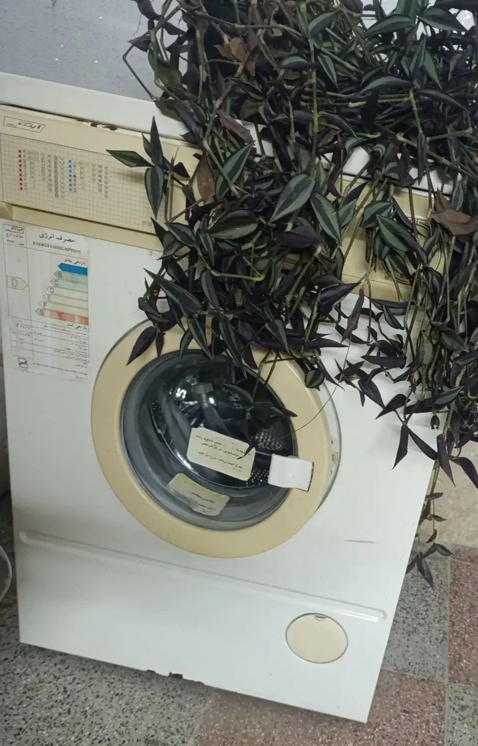 ماشین لباسشویی|ماشین لباسشویی و خشک‌کن لباس|سیاهکل, |دیوار