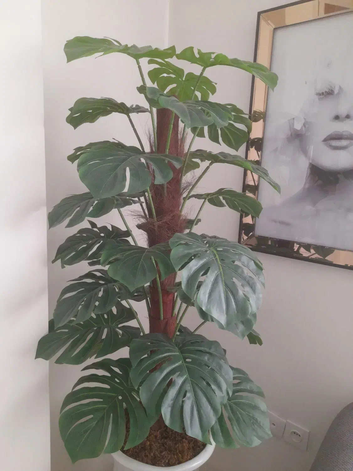 درختچه مصنوعی لمسی بسیار زیبا|گل مصنوعی|تهران, تهرانپارس غربی|دیوار