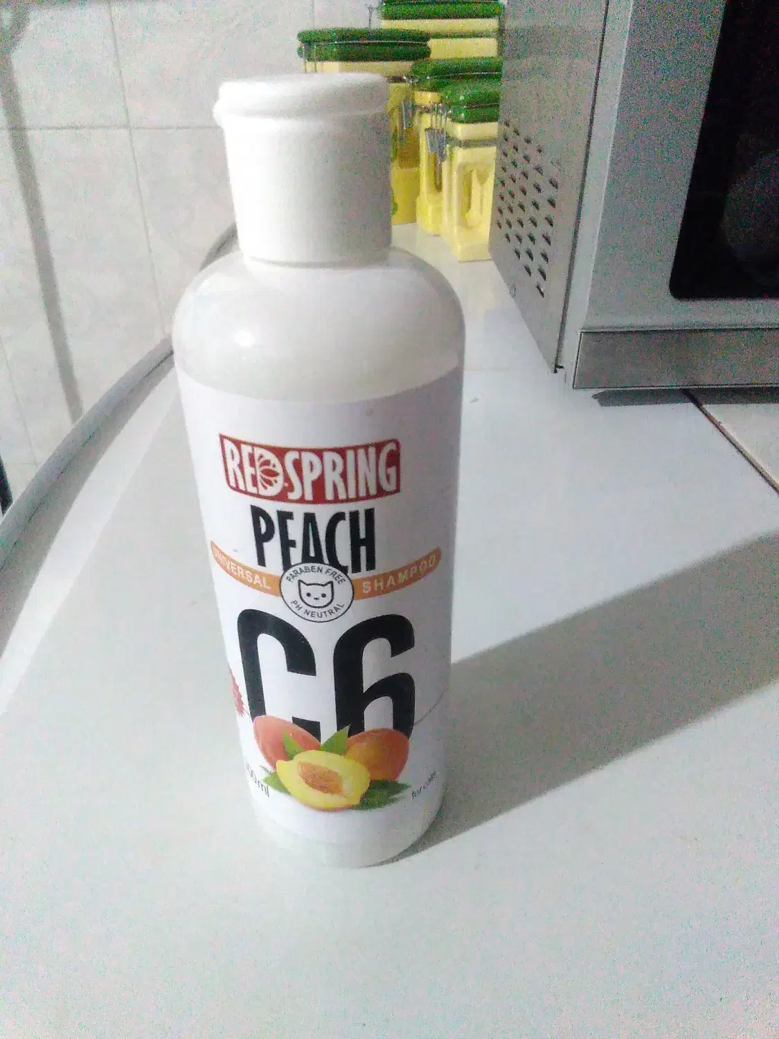 سگها شیتزو بسیار زیبا جنسیت نر|سگ|سقز, |دیوار