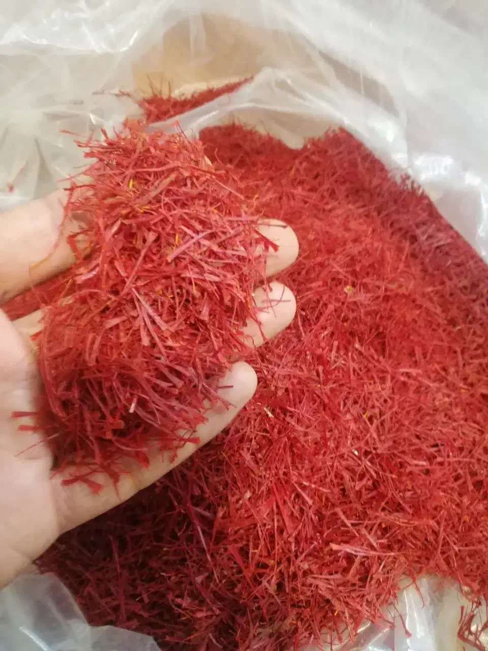 زعفران نگین اعلا|خوردنی و آشامیدنی|قم, باغ کرباسی|دیوار