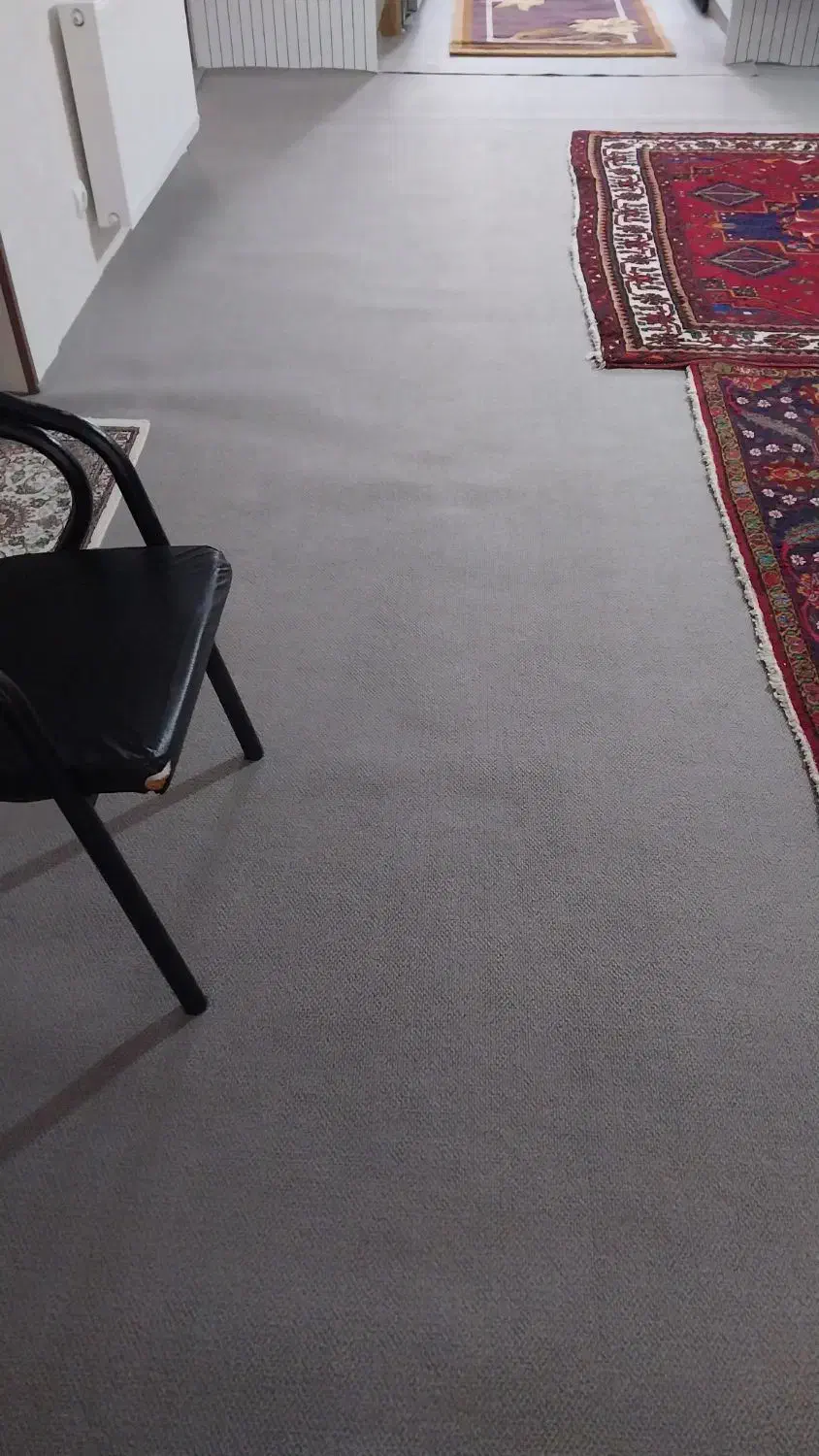 موکت|موکت|تبریز, |دیوار