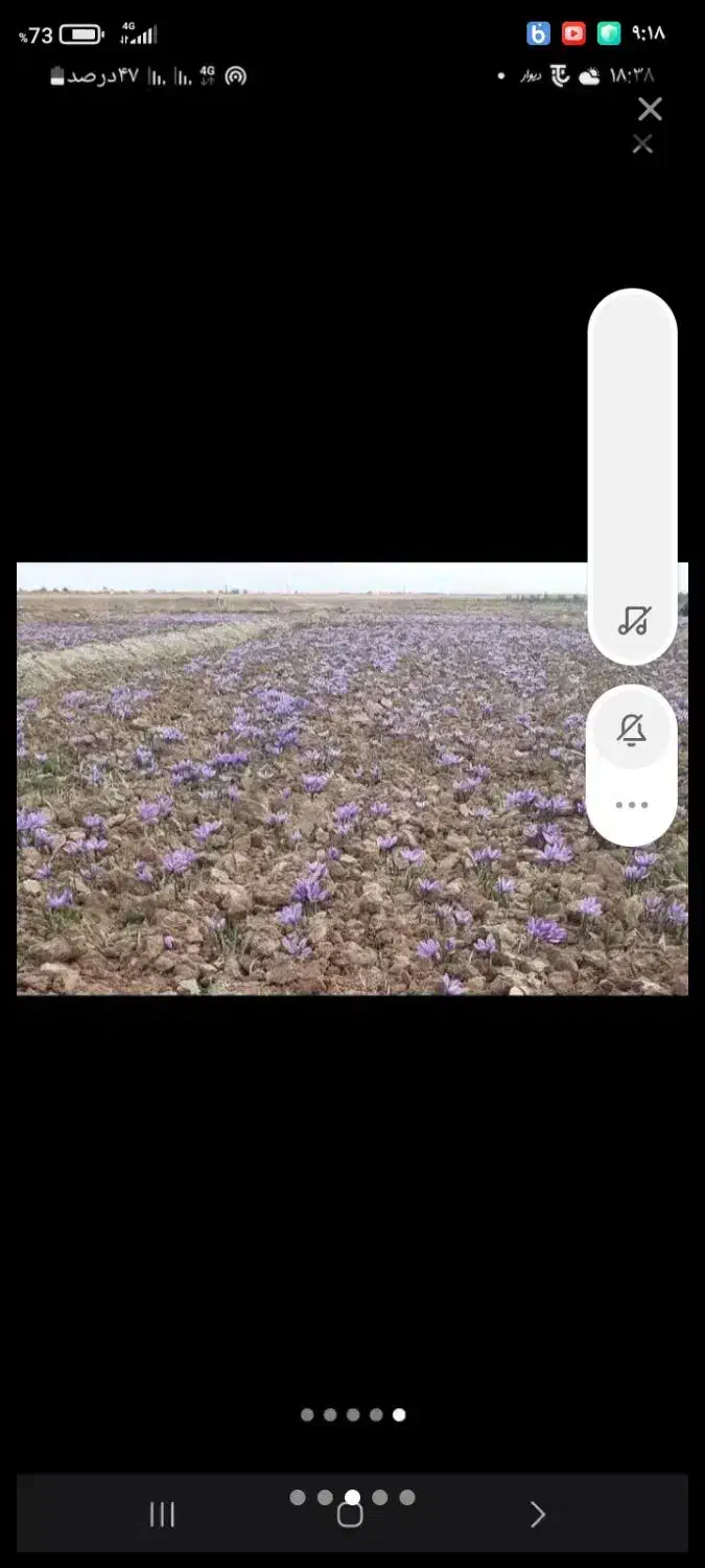 خدمات کشاورزی|خدمات باغبانی و درختکاری|خرم‌آباد, |دیوار