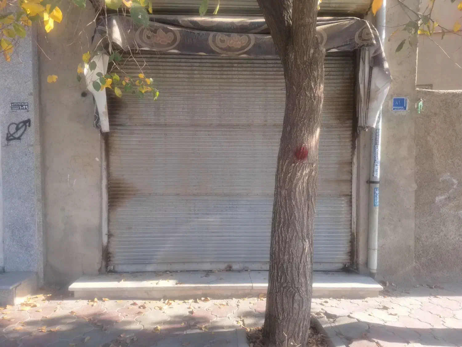 اجاره مغازه ۱۲ متری|اجارهٔ مغازه و غرفه|شاهدشهر, |دیوار