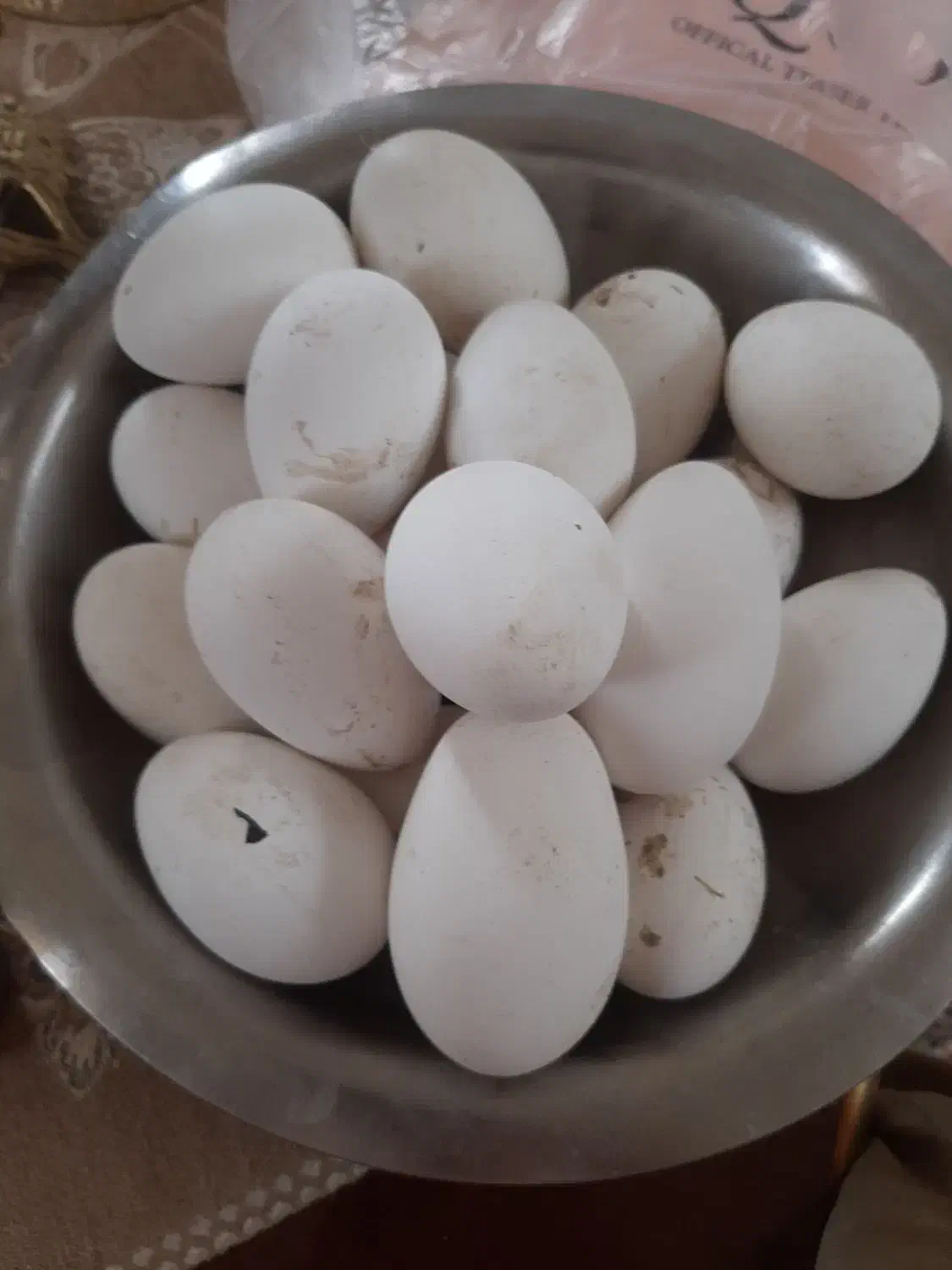 تخم غاز نطفه دار|حیوانات مزرعه|اردبیل, |دیوار