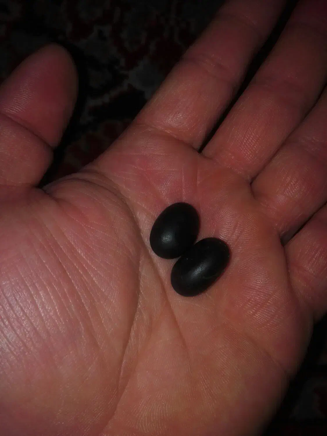 مهره تضمینی قدیمی|جواهرات|بندرعباس, |دیوار