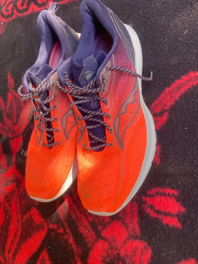 کفش ساکونی سایز 49 اصل نونو (یک دوخت کوچک )|کیف، کفش، کمربند|اصفهان, عباسآباد|دیوار