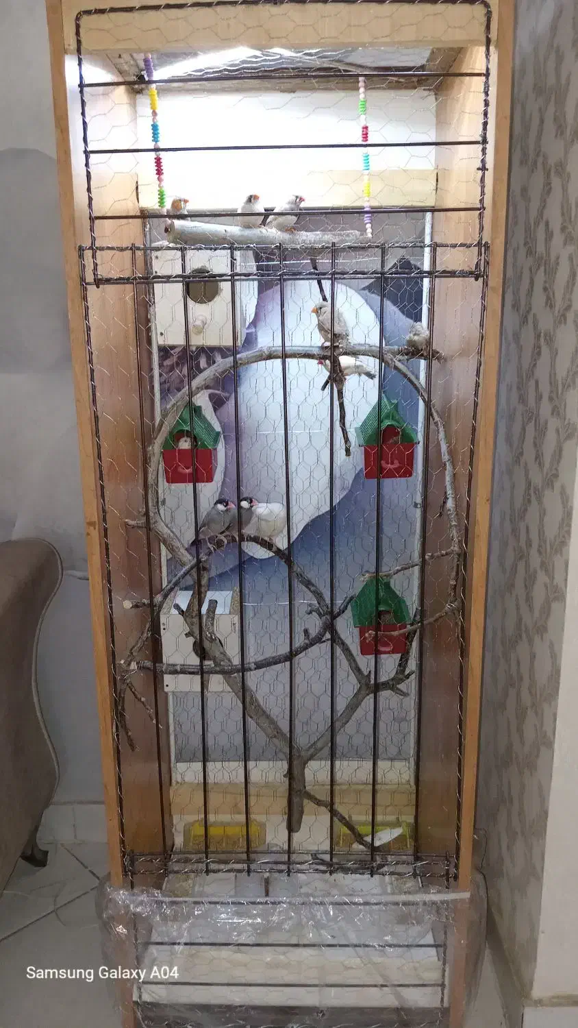 قفس بزرگ با پرنده|لوازم جانبی حیوانات|مشهد, امیریه|دیوار