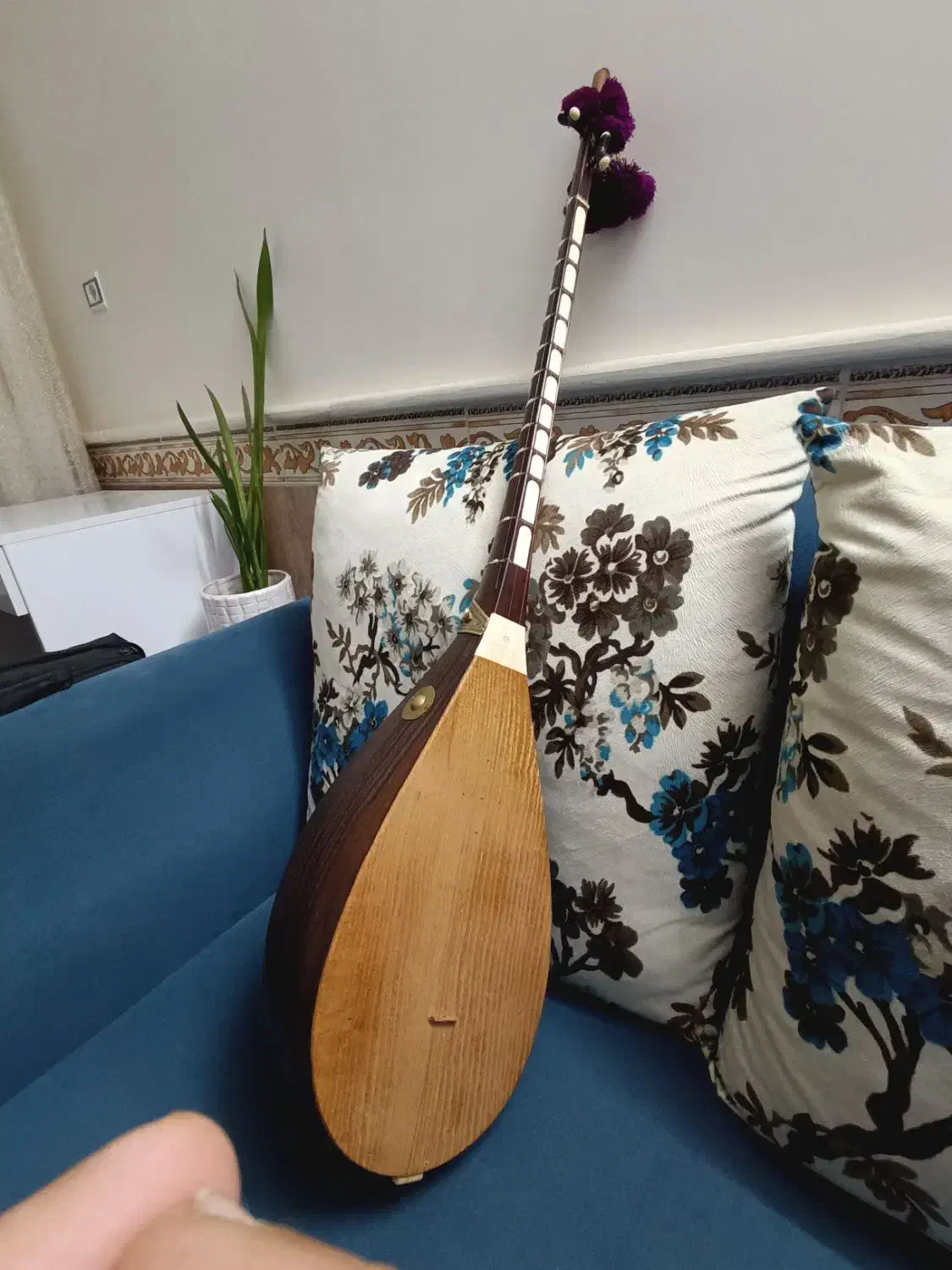 دوتار خوش خوان|سازهای سنتی|بجنورد, |دیوار