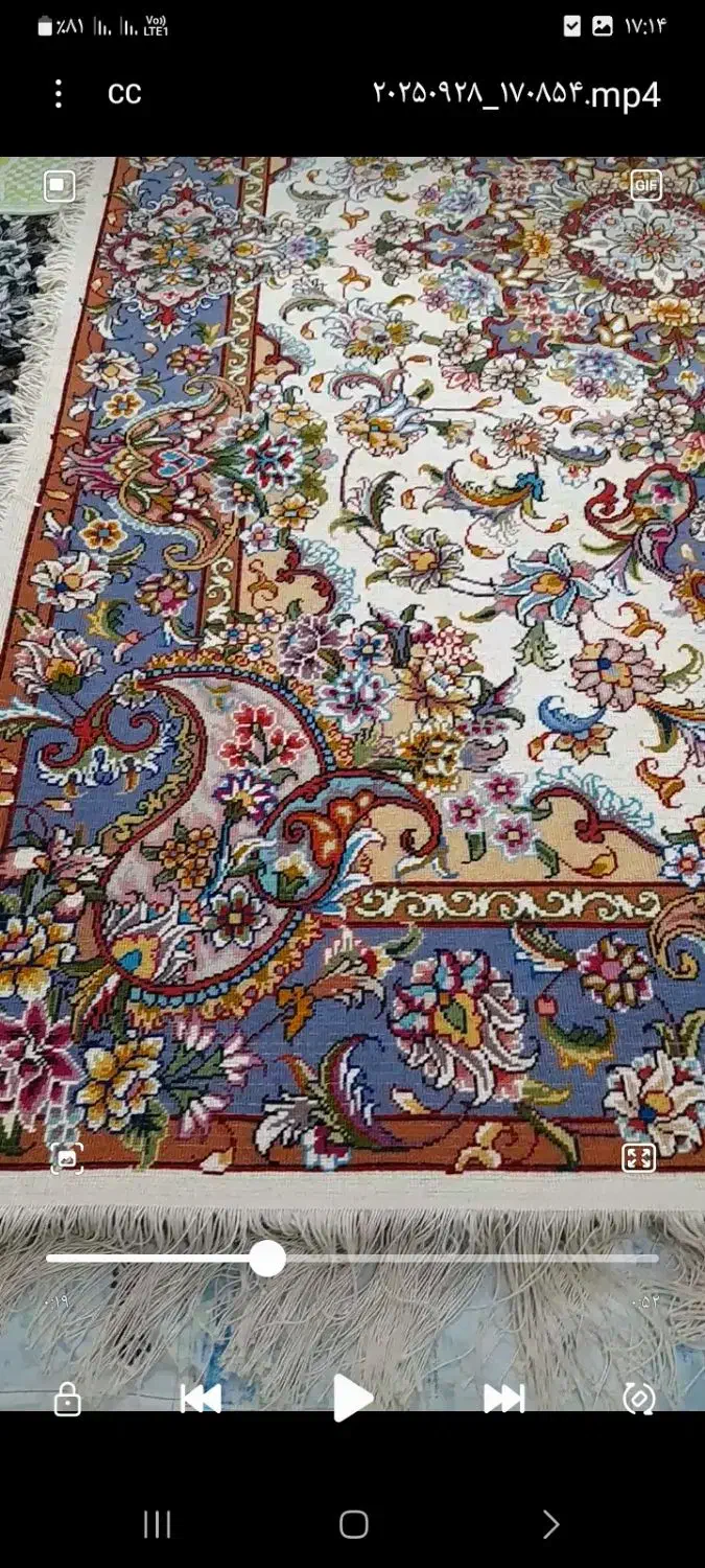 فرش سالاری بانخ مرینوس ۱۲ قط موجود است|فرش|اسکو, |دیوار