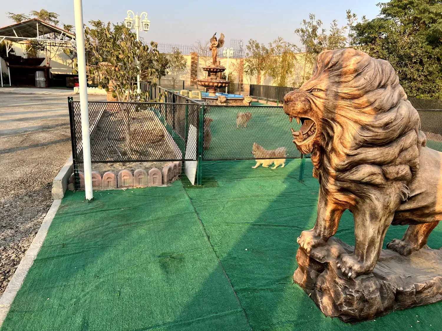 مراقبت از سگ|خدمات پیشه و مهارت|تهران, امانیه|دیوار