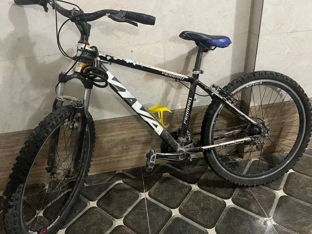 دوچرخه|دوچرخه، اسکیت، اسکوتر|اندیمشک, |دیوار