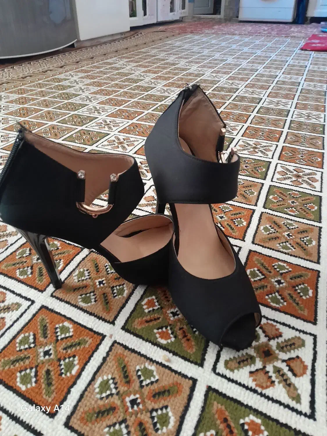 کفش مجلسی|کیف، کفش، کمربند|شاهین دژ, |دیوار