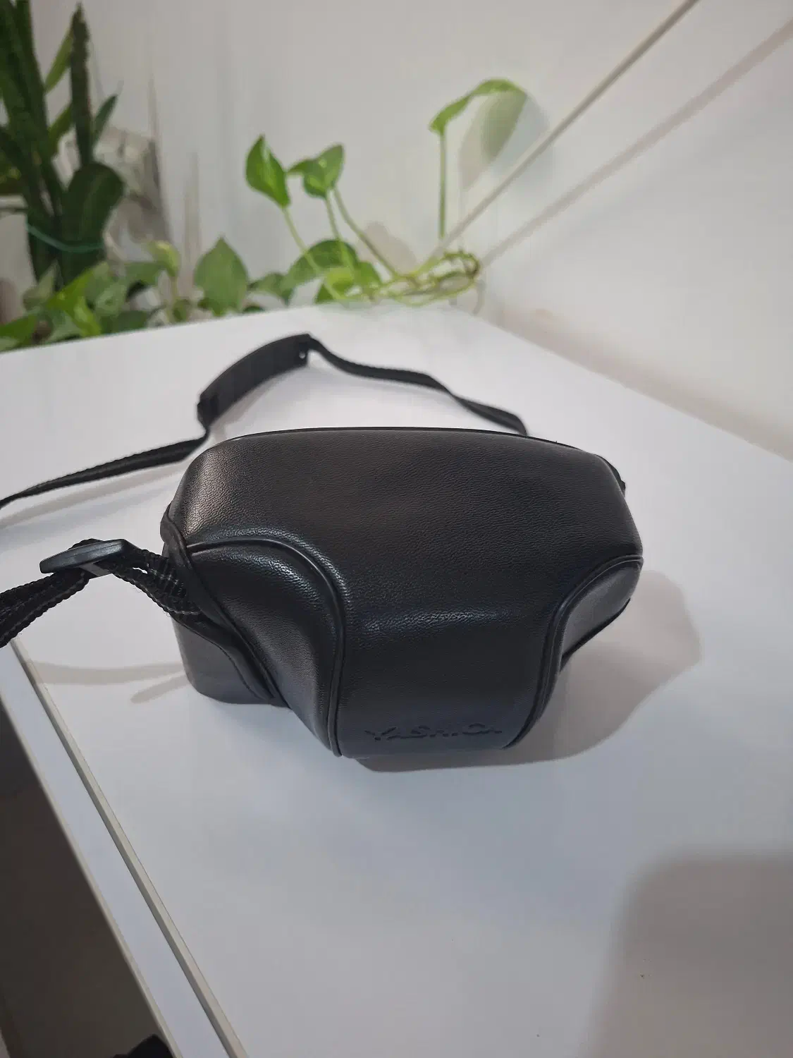 دوربین عکاسی|دوربین عکاسی و فیلمبرداری|بندر انزلی, کوی بهار|دیوار