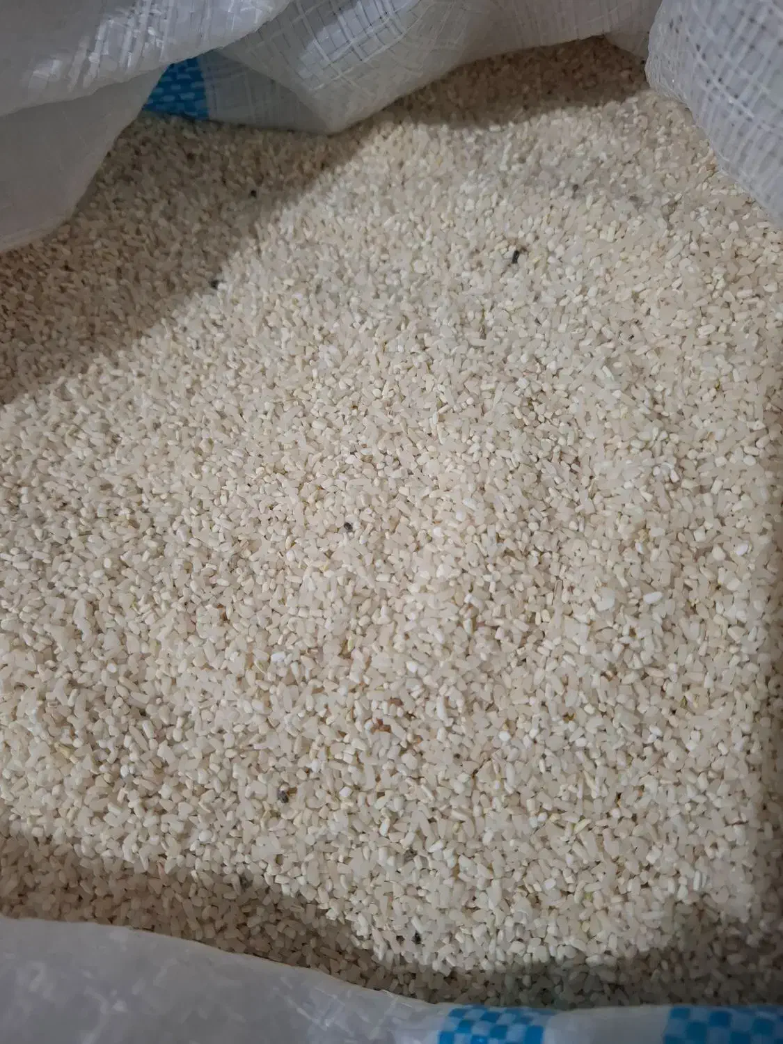 برنج بوجاری طارم هاشمی و نیم دانه  از زمین خودمان|خوردنی و آشامیدنی|قائم‌شهر, |دیوار