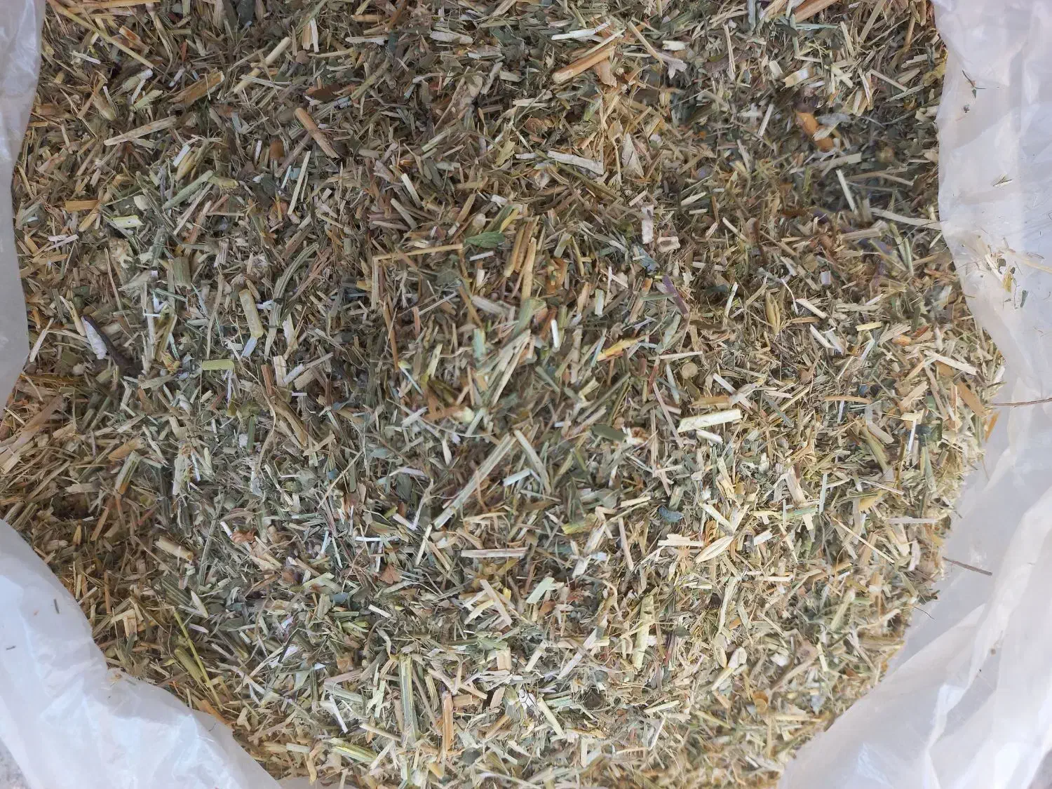 کاه یونجه|لوازم جانبی حیوانات|شیروان (خراسان), |دیوار