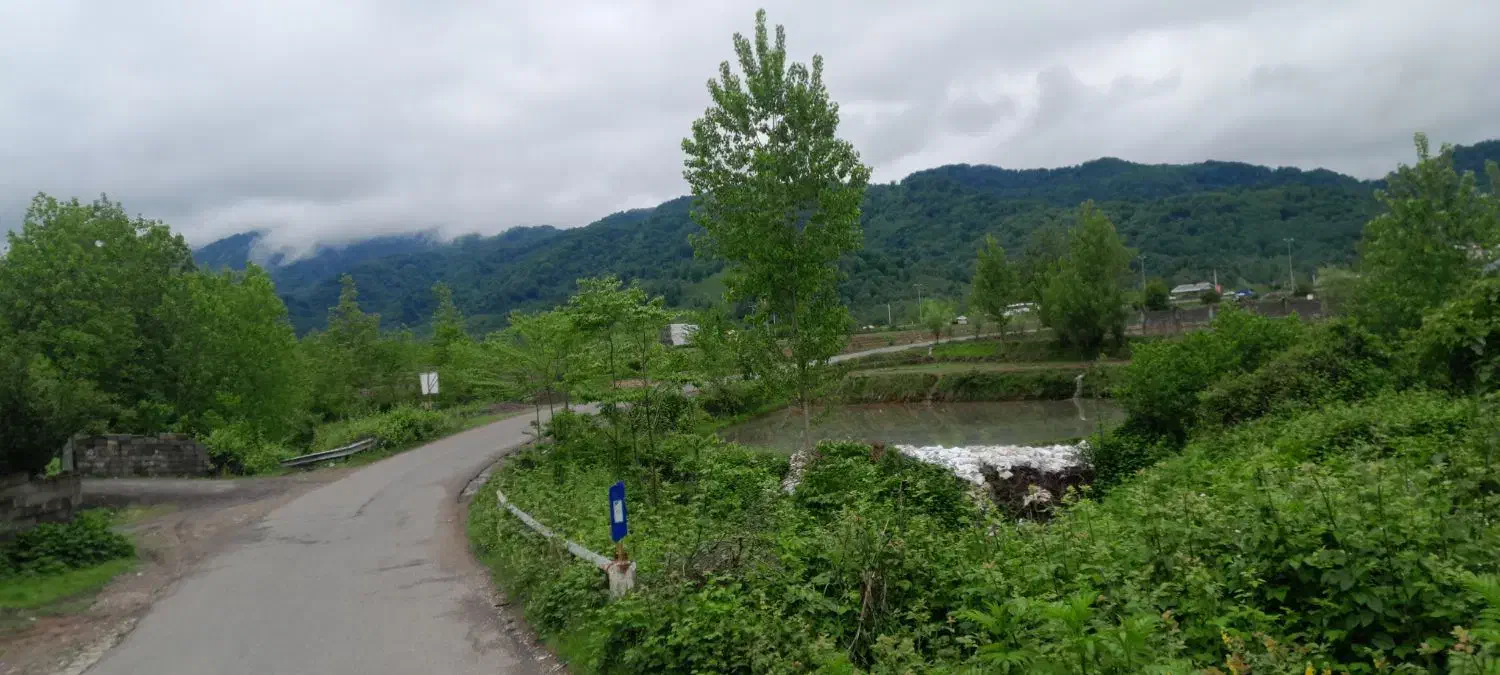 زمین در گیلان تالش هشتپر ۴۵۰۰متر حومه دریا|فروش زمین و ملک کلنگی|تالش, طولارود|دیوار