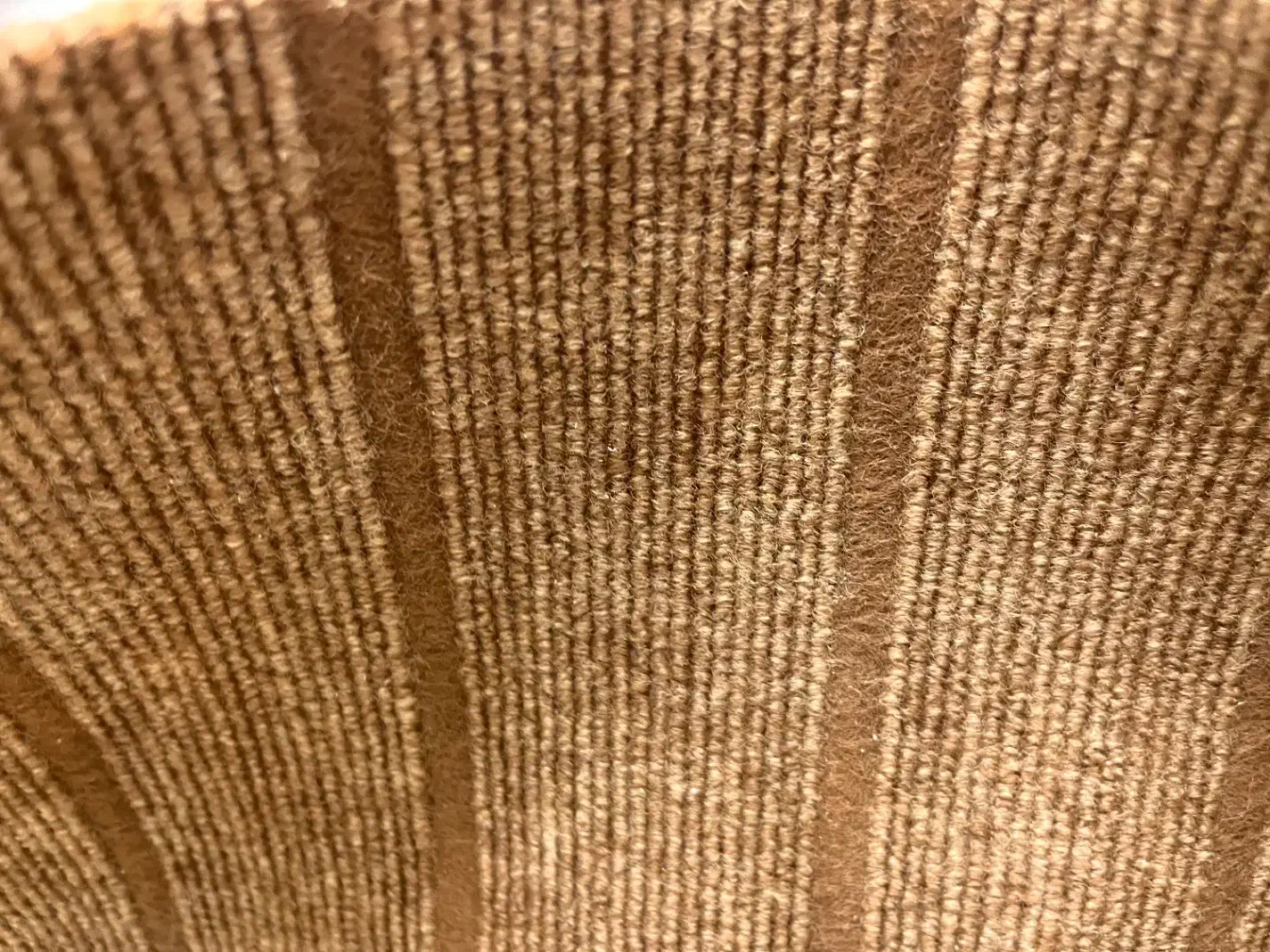 موکت|موکت|یزد, |دیوار