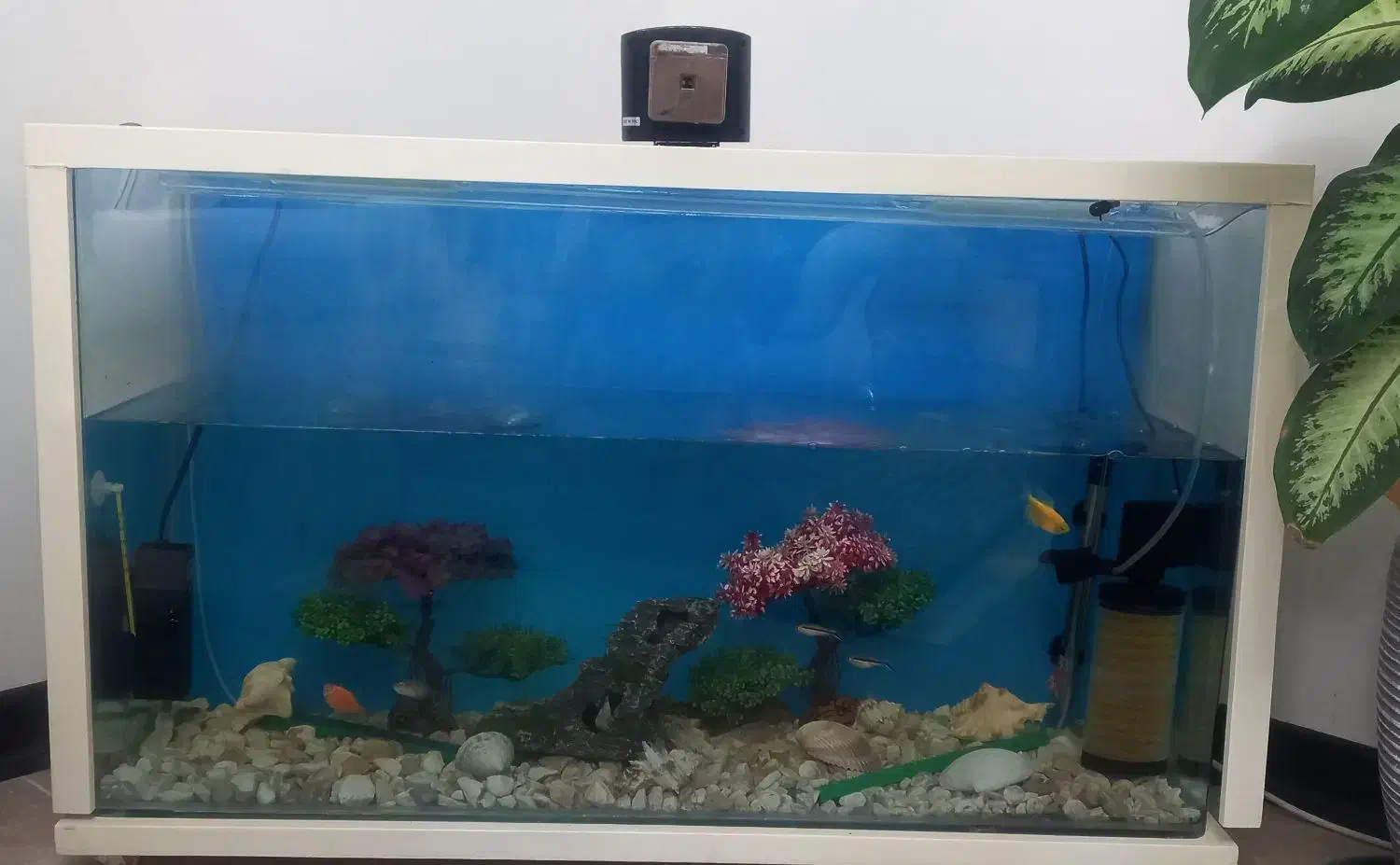 اکواریوم بدون ماهی|ماهی|تهران, شهرک چیتگر|دیوار