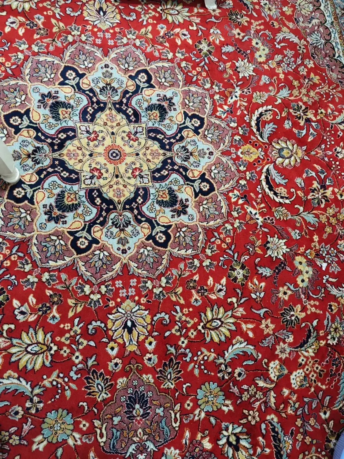 فرش ۱۲ متری|فرش|سلماس, |دیوار